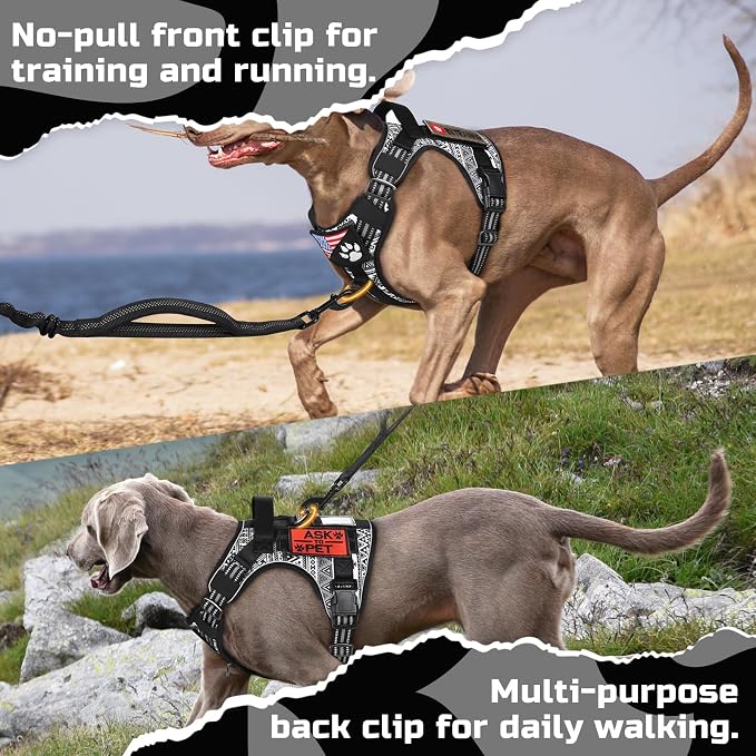 rabbitgoo Tactical Dog Harness for Medium, No Pull Military Service Vest | Molle & Handle, Heavy Duty, Adjustable, Reflective Straps, Easy Control for Training Walking, B&W Geometric, Medium