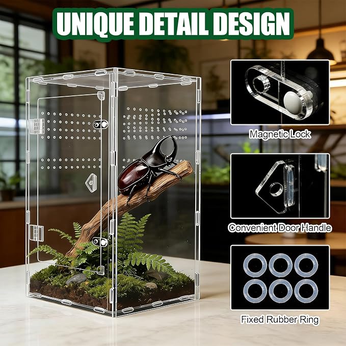 Acrylic Jumping Spider Enclosure, Transparent Reptile Terrarium Enclosure, Small Reptiles Habitat Tank Breeding Box for Tarantula Insect Snake Lizard (13.78 Large)