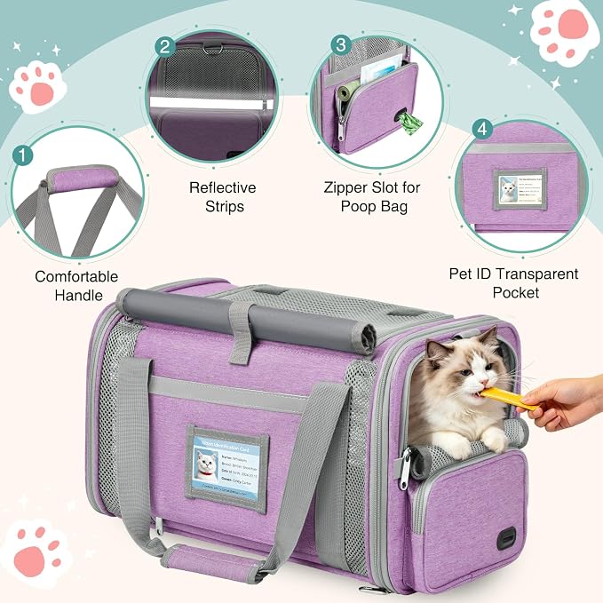 Soft Cat Carrier for Pets Up to 20 Lbs, Collapsible Cat Carrier Bag with Privacy Curtains, Airline Approved Small Pet Carrier for Small Medium Cats Dogs Puppy, Washable Soft Pet Travel Bag Dog Carrier
