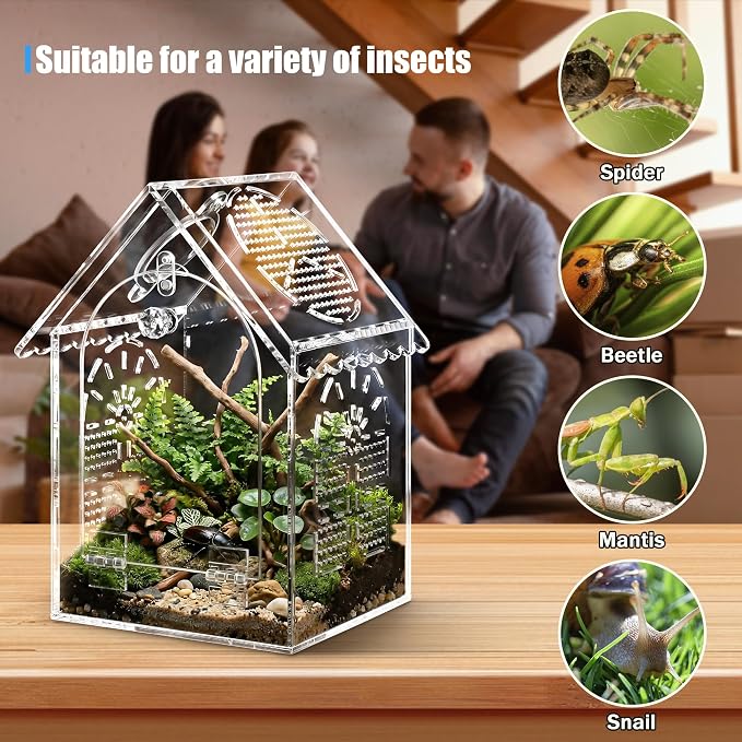 Jumping Spider Enclosure House Shape Design, Seamless Acrylic Tarantula Terrarium for Spiders and Small Reptiles, 6"x6"x10" (Large)