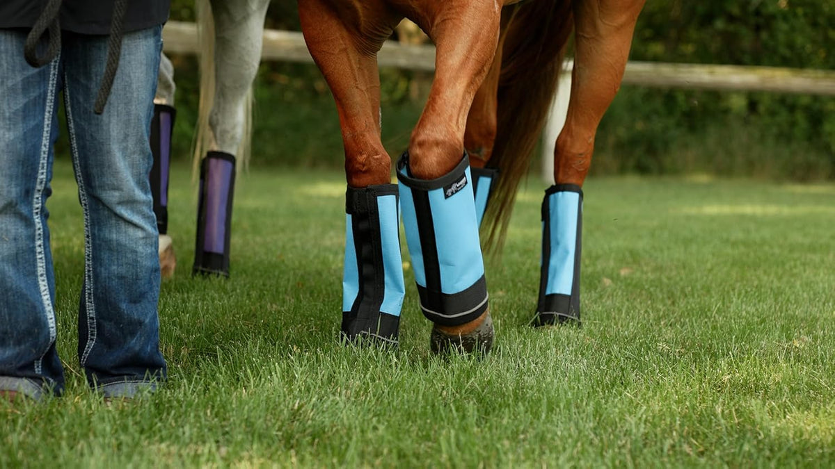Warrior Fly Boots for Horses - Breathable Mesh Horse Boots for Fly Protection & Leg Comfort - Set of 4 (Lil Warrior, Neon Pink)