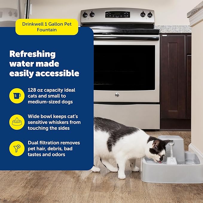 PetSafe Oasys 1 Gallon (128 Ounce) Medium Pet Fountain - Cat or Medium Breed Dog Water Fountain - Dishwasher Safe Filtered Water Dispenser with Flow Control - Filters Included - Easy to Clean