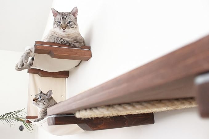 CatastrophiCreations Cat Wall Mounted Play Cat Condo, Bamboo Frame, Modular Design, Sisal Pole, Hammock, 18" and 34" Sections