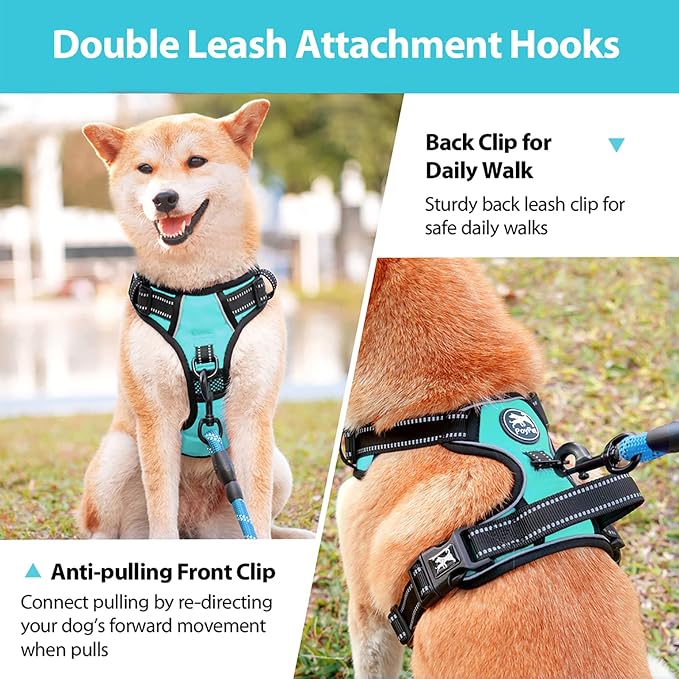 PoyPet No Pull Dog Harness Medium with Front Clip & Neck Release Buckle | No Choke, Adjustable Vest, Reflective, Back Clip, Lockable, Soft Padded Handle for Walking Training, M, Mint Blue