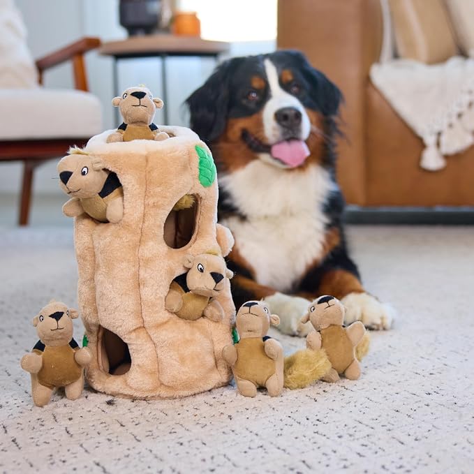 Outward Hound Hide-A-Squirrel Dog Toy – Interactive 2‑in‑1 Plush Puzzle with 6 Squeaky Removable Squirrels, X-Large