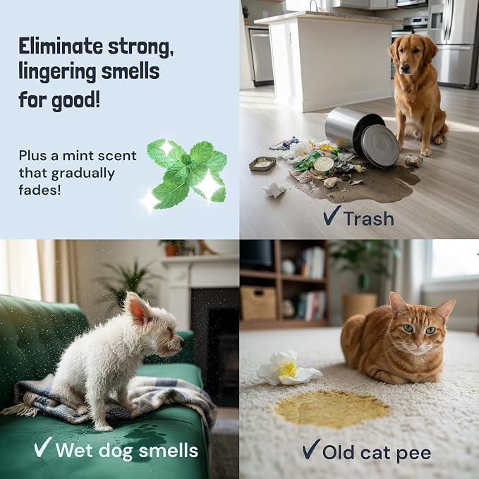 Sunny & Honey Pet Stain and Odor Remover for Carpets. 1 Gallon Mint | USA Made - Enzyme Cleaner for Dog Urine & Poop - Eliminates Set In Stains - Color Safe - For Rugs, Furniture & Car Seats