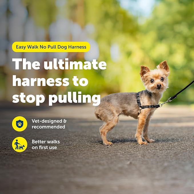 PetSafe Easy Walk Harness, No Pull Dog Harness, Black, Petite | Patented Martingale Loop Gives Gradual Shoulder Pressure to Stop Pulling, Front-Chest Leash Clip Prevents Gagging