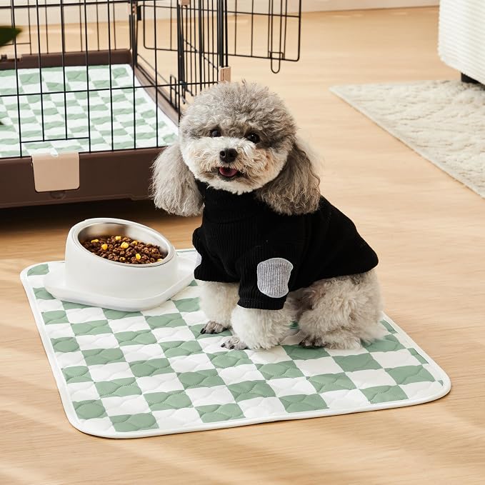 2 Pack Sage Green Checkered Washable Pee Pads for Dogs, Checkered Reusable Dog Pee Pads, for Puppy Playpen, Crate, Whelping Box, Potty Training, Cute Aesthetic Absorbency, Leak-Proof Non-Slip
