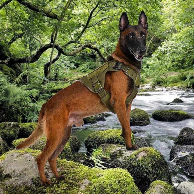 Tactical Dog Harness, Military Reflective Dog Harness | 2X Metal Buckle，Hidden Airtag Holder and Handle, Adjustable No-Pull Service Dog Vest with Molle & Loop Panels