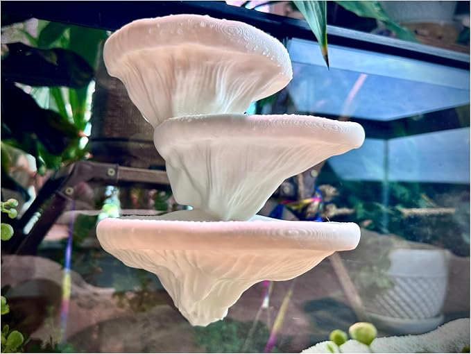 Mushroom Ledge for Terrarium – Climbing & Resting Platform with Suction Cups (Bone, 6''x4.5''x5.25'')