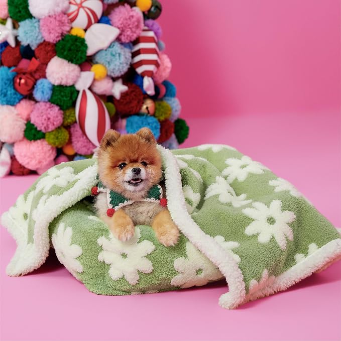 LE SURE Waterproof Dog Blankets for Small Dogs Cute Cozy 3D Jacquard,25x35 | Puppy Blanket for Cat Aesthetic Gift, Warm Soft Sherpa Throw Washable, Reversible Pet Couch Protector, Flower Garden Green