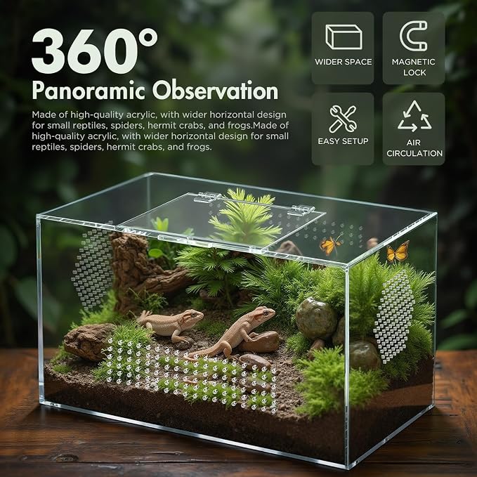 Pre-Assembled Jumping Spider Enclosure, All-Side Ventilation | 12"x7"x7" Escape-Proof Spider Terrarium Kit with Magnetic Door for Tarantula, Mantis, Snail, Tweezer & Temp Sticker Included