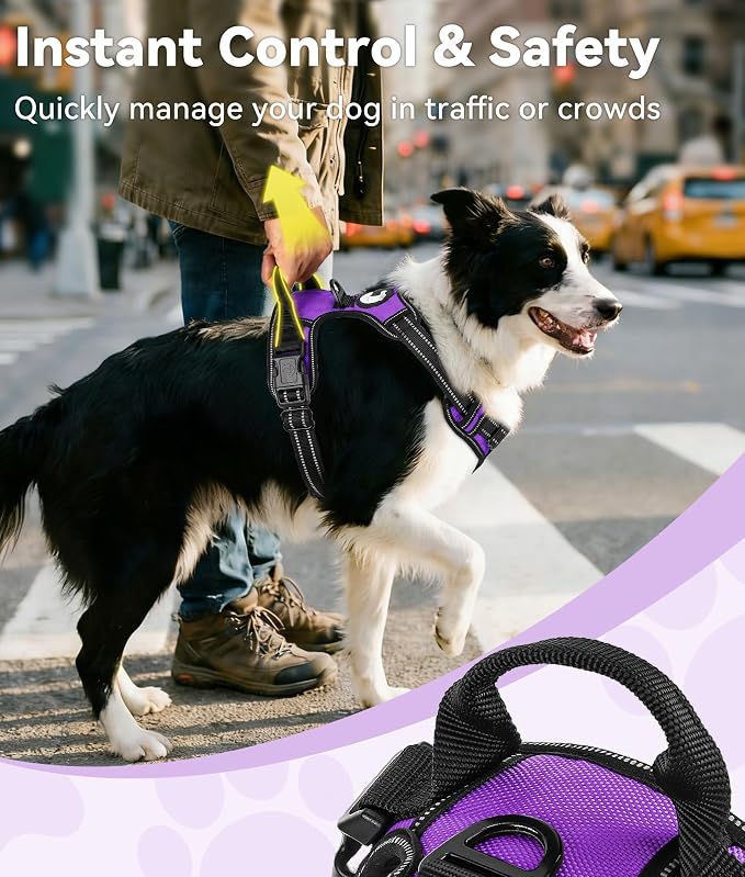 Joytale No Pull Dog Harness Medium Sized Dog, Front Clip, Purple | Grab Handle for Instant Control, Padded & Adjustable Vest, Sturdy Metal D-Rings, for Safe Training & Daily Walking