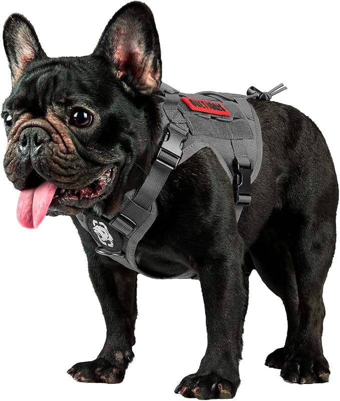 OneTigris Tactical Dog Harness Vest No-Pull Service Dog Vest for Small Dogs | 1000D Pullable Nylon, with Control Handle and Hook & Loop Panels, Easy On & Off, Adjustable for Walking Training Gray XXS