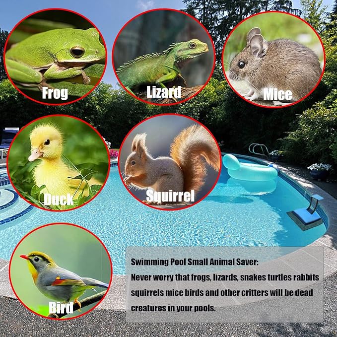 Pool Animal Saving Escape Ramp, Frog Saver for Swimming Pool Critter, Rescue for Frog, Toads, Lizards, Ducks, Snakes, Squirrel, Chipmunk, Mice, Reduces Pool Maintenance Accessories, (2 PCS Blue)