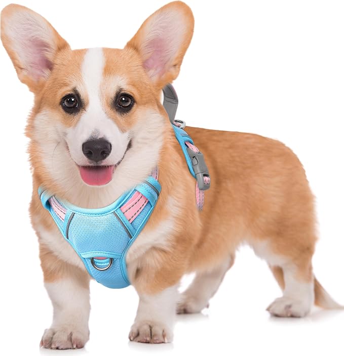 BARKBAY No Pull Dog Harness Large Reflective Dog Harness with Front Clip and Easy Control Handle for Walking Training Running with ID tag Pocket(Baby Blue & Baby Pink,M)