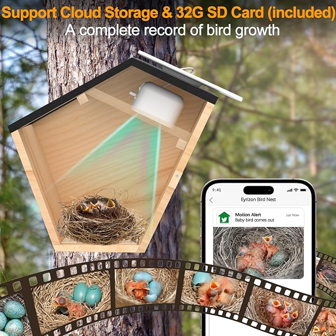 Pinaple Bird House with Camera, Smart Bird House Solar Powered,5MP Full Color IR Night Vision Bird Watching Wireless Camera,2.4G WiFi APP Controlled Auto Notification,Ideal Gift for Bird Lovers