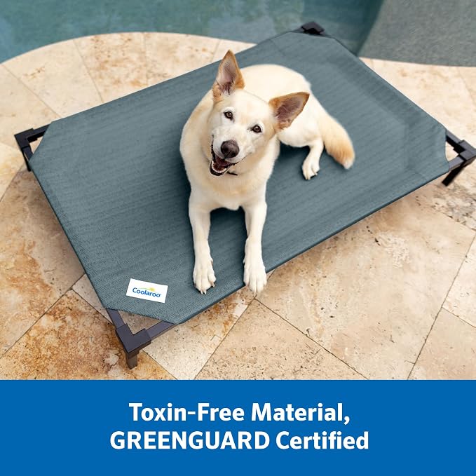 Coolaroo Pro Elevated Dog Bed with HeatShield Fabric – Advanced Cooling Raised Cot for Small & Medium Breeds, Easy-Clean, Low-to-Ground Access, Bonus Bolster Pillow – Great Sandy Beige