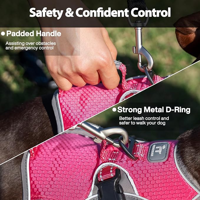 Escape Proof Dog Harness, Dachshund Harness, Reflective Dog Harness with Handle, Durable,Adjustable Vest for Small Medium Large Dogs Walking, Training, and Running Gear (Rose red,M)
