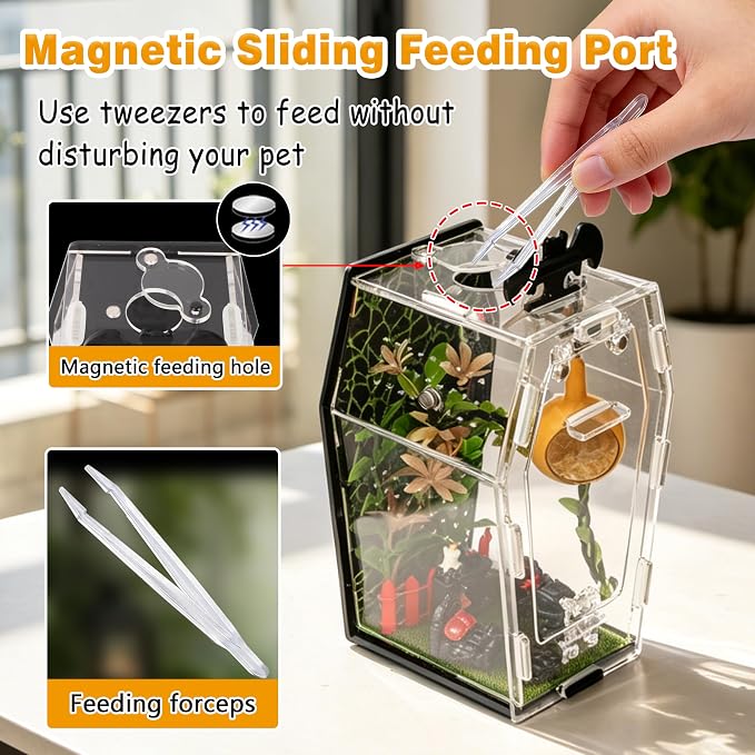 19Pcs Acrylic Spider Enclosure Kit with Magnetic Lock | Gothic Coffin Design, 3mm Acrylic, Magnetic Feeding, Mini Furniture 9Pcs, Spider Enclosure, DIY Kit
