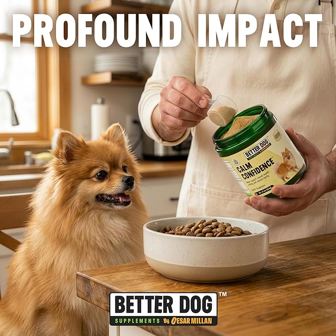 Better Dog Supplements Calm Confidence by Cesar Millan – Natural Cognitive & Brain Support for Dogs – Focus, Energy & Vitality with Ashwagandha, Panax Ginseng & Herbs – 4oz, (60-Day Supply)