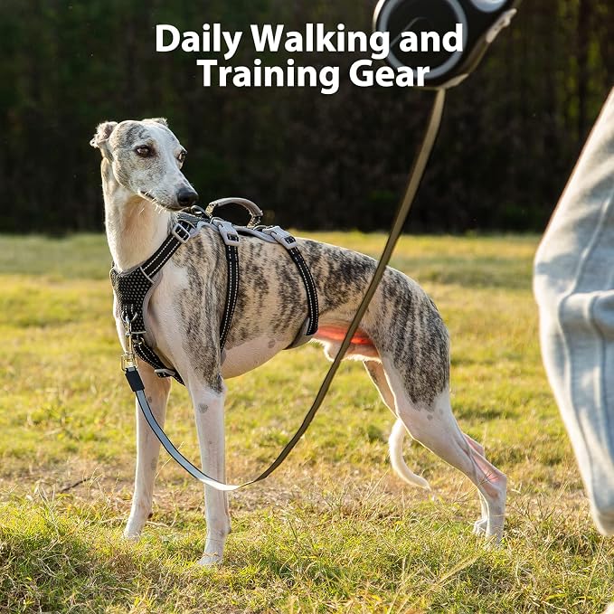 Escape Proof Dog Harness, Escape Artist Harness, Fully Reflective Harness with Padded Handle, Breathable,Durable, Adjustable Vest for Medium Dogs Walking, Training, and Running Gear (Black,XS)