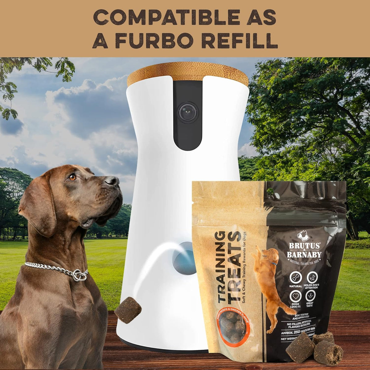 BRUTUS & BARNABY Training Treats for Dogs - Sweet Potato & Chicken - All-Natural Healthy Low Calorie Treat - Great to Use for Rewards in Training Your Puppy Or Dog