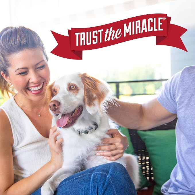 Nature’s Miracle Advanced Stain & Odor Eliminator, 32 Ounces, Sunny Lemon Scent, Severe Mess Enzymatic Formula For Tough Pet Messes
