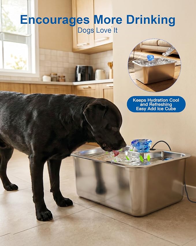 PETNF Dog Water Fountain, 10L Stainless Steel Pet Water Dispenser with 4-Stage Filtration, Ultra-Quiet Pump & Circulating Flow, Ideal for Large Dogs Multi-Pet Home, Perfect for Long Trips & Daily Use