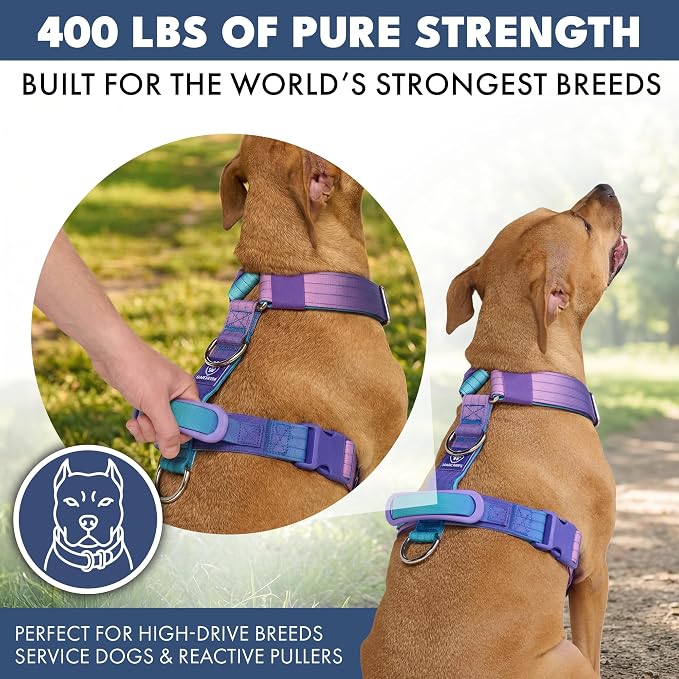 Spark Paws Comfort Control No Pull Dog Harness - Heavy Duty Front Clip | Safety Tested for Strong Breeds, w/ Metal Buckle & Top Handle – Padded Y-Straps Redirect Pulling. Solo or Matching Leash Set