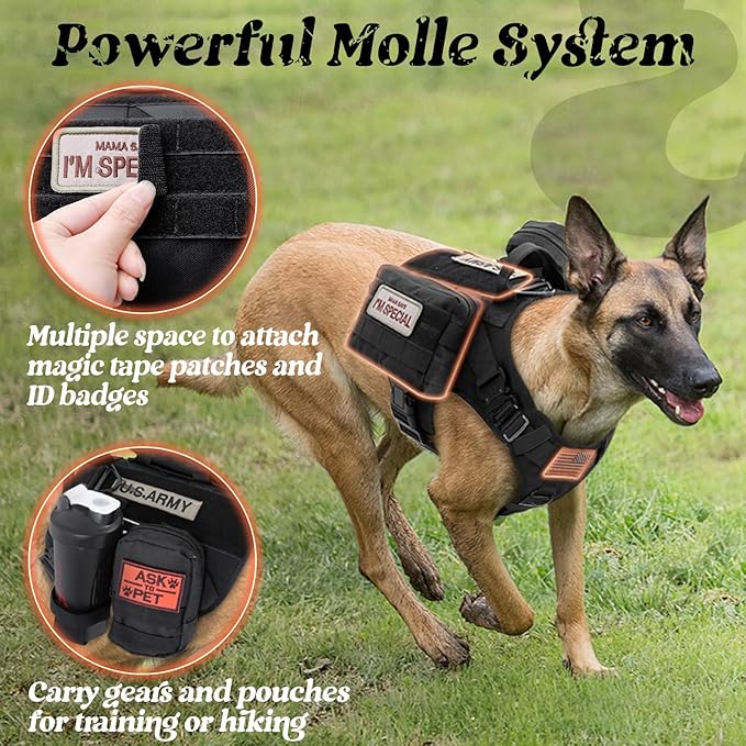 rabbitgoo Tactical Dog Harness for Small, Heavy Duty Military No Pull Vest | Sturdy Metal Buckles, 5 Adjustments, Molle System, Powerful Pullers for Training, Hunting, Outdoor, Black, Small
