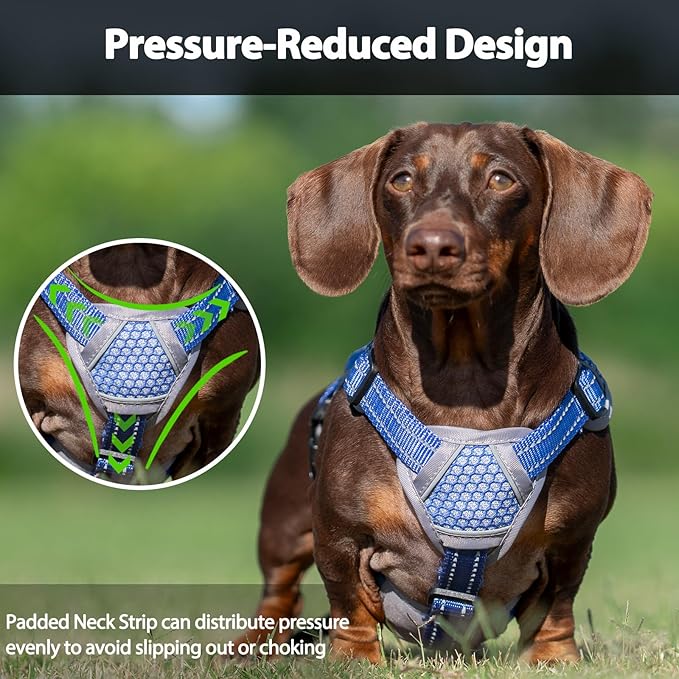 Escape Proof Dog Harness, Dachshund Harness, Reflective Dog Harness with Handle, Durable,Adjustable Vest for Small Medium Large Dogs Walking, Training, and Running Gear (Technicolor Blue,XL)