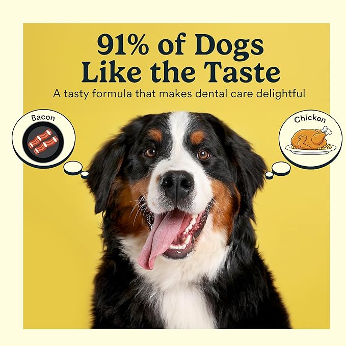 Jasper Dog Tooth Brushing Kit and Dog Toothpaste Kit 360 Dog Toothbrush Enzymatic Plaque Remover Imporves Bad Breath Natural Pet Toothpaste Dog Toothbrush and Toothpaste 2 oz Chicken Flavor