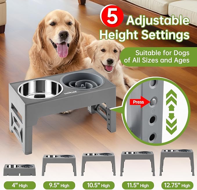 EliteField Elevated Dog Bowls, 2 Stainless Steel Bowls (2-Year Warranty) | 58 oz Bowls, 5 Adjustable Heights, Small to Large Dogs, Foldable, Dishwasher Safe, Anti-Slip Feet