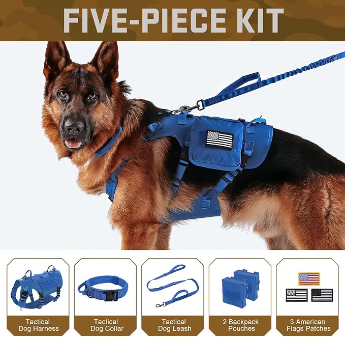 Forestpaw Tactical Dog Harness Collar Bungee Leash Set,L,Blue | Adjustable Fits 27-40" Chest,70-140 lbs,No Pull Control Military,Quick Release Buckle,Walking Training for Medium Large Dogs