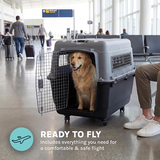 SportPet Airline Compliant X-LARGE 35.5" Travel Dog Kennel-Durable Plastic Airline Pet Carrier w/Removable Wheels & Food Bowls, Collapsible Indoor/Outdoor Dog Kennel, Dogs up to 32"L & 23"H-Dark Gray