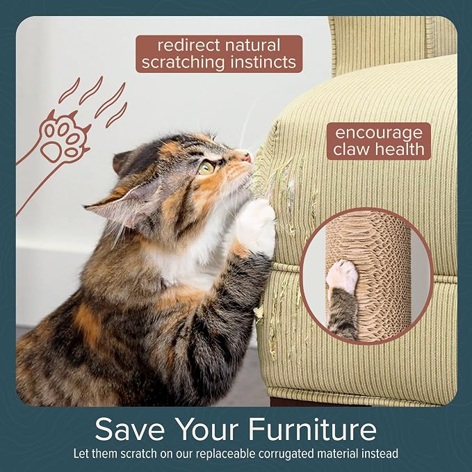 Floating Cat Shelf & Perch – Wall-Mounted Climbing Furniture for Cats - Moonbeam Path | Ascentials by FurHaven