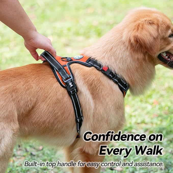 PoyPet No Pull Dog Harness Small with Front Clip & Neck Release Buckle | No Choke, Adjustable Vest, Reflective, Back Clip, Lockable, Soft Padded, Easy Control Handle for Walking Training, XS, Orange