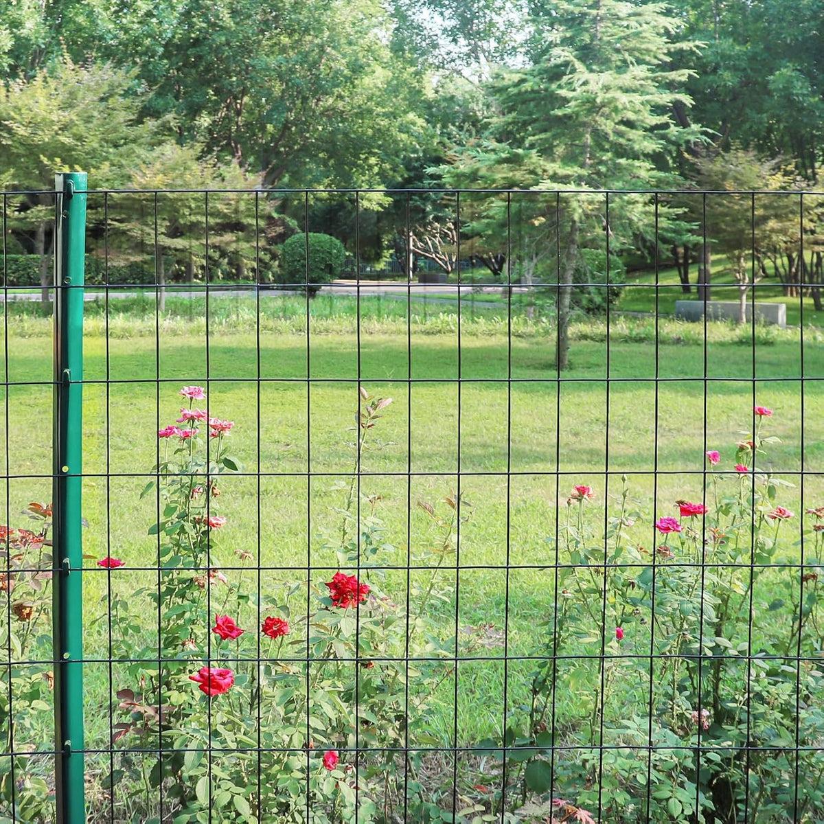 Black PVC Coated Welded Wire Fence 36 Inch x 50 Foot, 2 Inch x 4 Inch 15GA, Garden Border Fencing Roll Vinyl Coating Metal Wire Mesh Hardware Cloth for Yard Vegetable Plant Protection