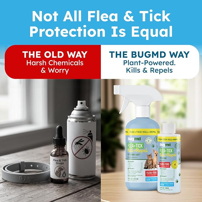 BugMD Flea and Tick Spray for Dogs and Cats – Kills & Repels on Contact – Plant-Powered Flea Treatment for Home, Furniture & Carpet | Makes 32 oz