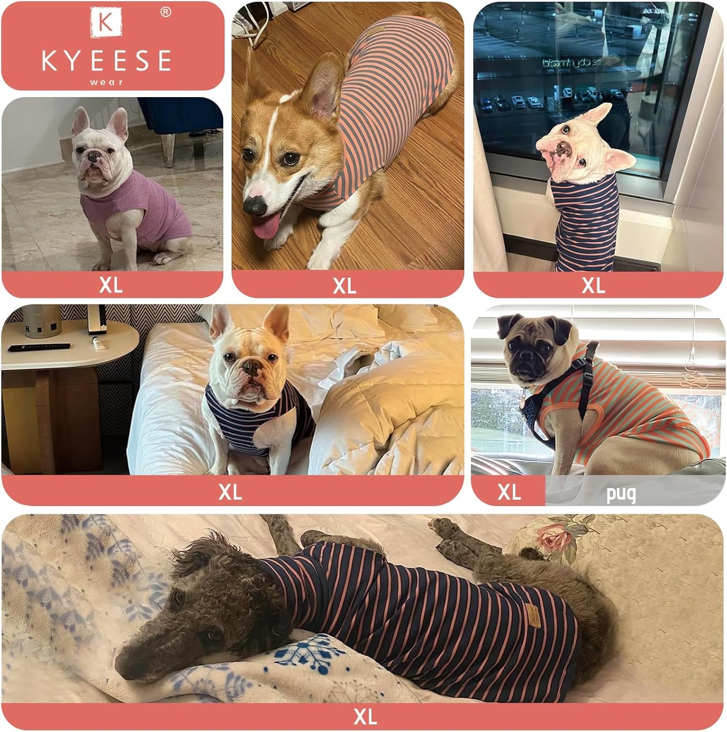 KYEESE 2Pack Dog Sweater Turtleneck Dogs Clothes Stretchy Dachshund Clothes Soft Pet Sweatshirt Pullover Dog Sweaters for Small Dogs Male Warm Pet Coats
