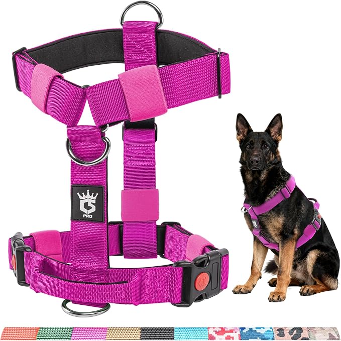 TSPRO Tactical Heavy Duty Dog Harness, Quick Release Buckle & Top Handle | Premium No Pull Dog Vest Harnesses, Adjustable, Soft Padded Lining, 1.5-Inch Wide for Medium & Large Dogs, Walking & Training