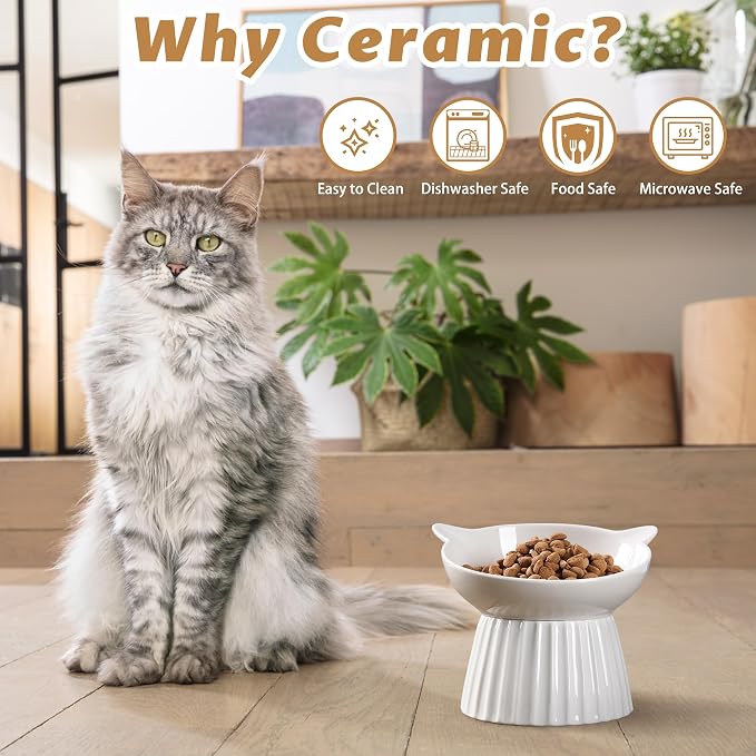 Ceramic Raised Cat Bowl，Tilted Raised Bowl Anti Vomit for Indoor Cats Whisker Friendly Pet Feeder for Cats Puppies, Microwave and Dishwasher Safe (White-2 Pack)