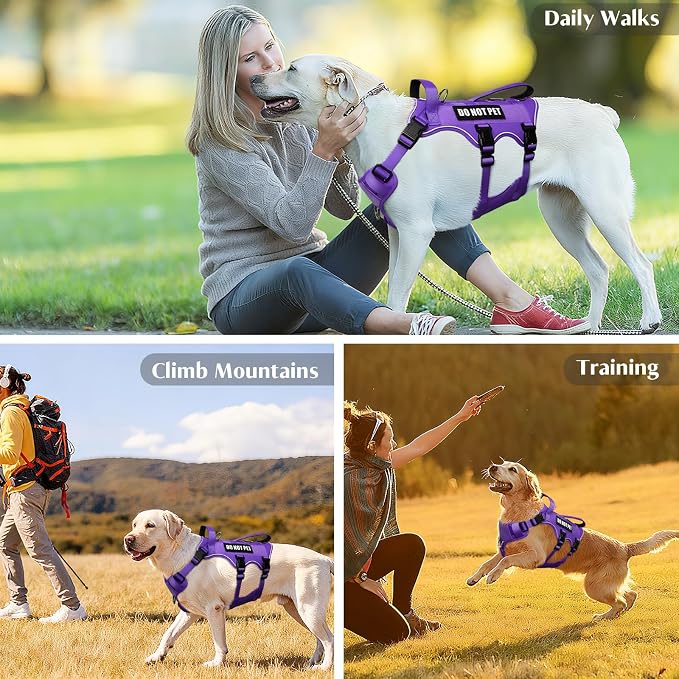 Escape Proof Dog Harness with Double Handle+4 Removable Patches | Service Working Molle Harness with Double Handle for Medium Dogs, Tactical Pet Reflective Vest for Walking Hiking Hunting