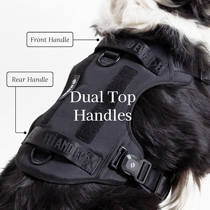 Fei & Eve Classic Dog Harness, MagEase Magnetic Buckle | 3-Point No-Pull Control, Dual Handle Support, 900D Nylon, Tactical Patch Panel, Heavy Duty, Medium, Black
