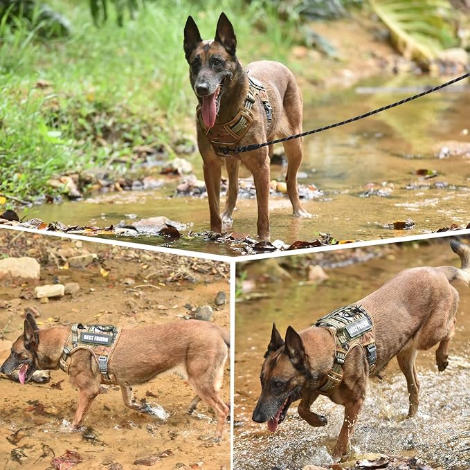 Heavy Duty Dog Harness with Handle, No Pull Adjustable Outdoor Vest with Metal Buckles, MOLLE Panel & Reflective Strips for Medium Large Dogs