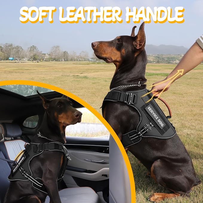 Tactical Dog Harness - HEYCAHVA Service Dog Vest Full Metal Buckles Dog Vest for Medium Large Dog Reflective No Pull Dog Harnesses Vest with Leather Handle, Hook & Loop for Hiking Training (Black, M)