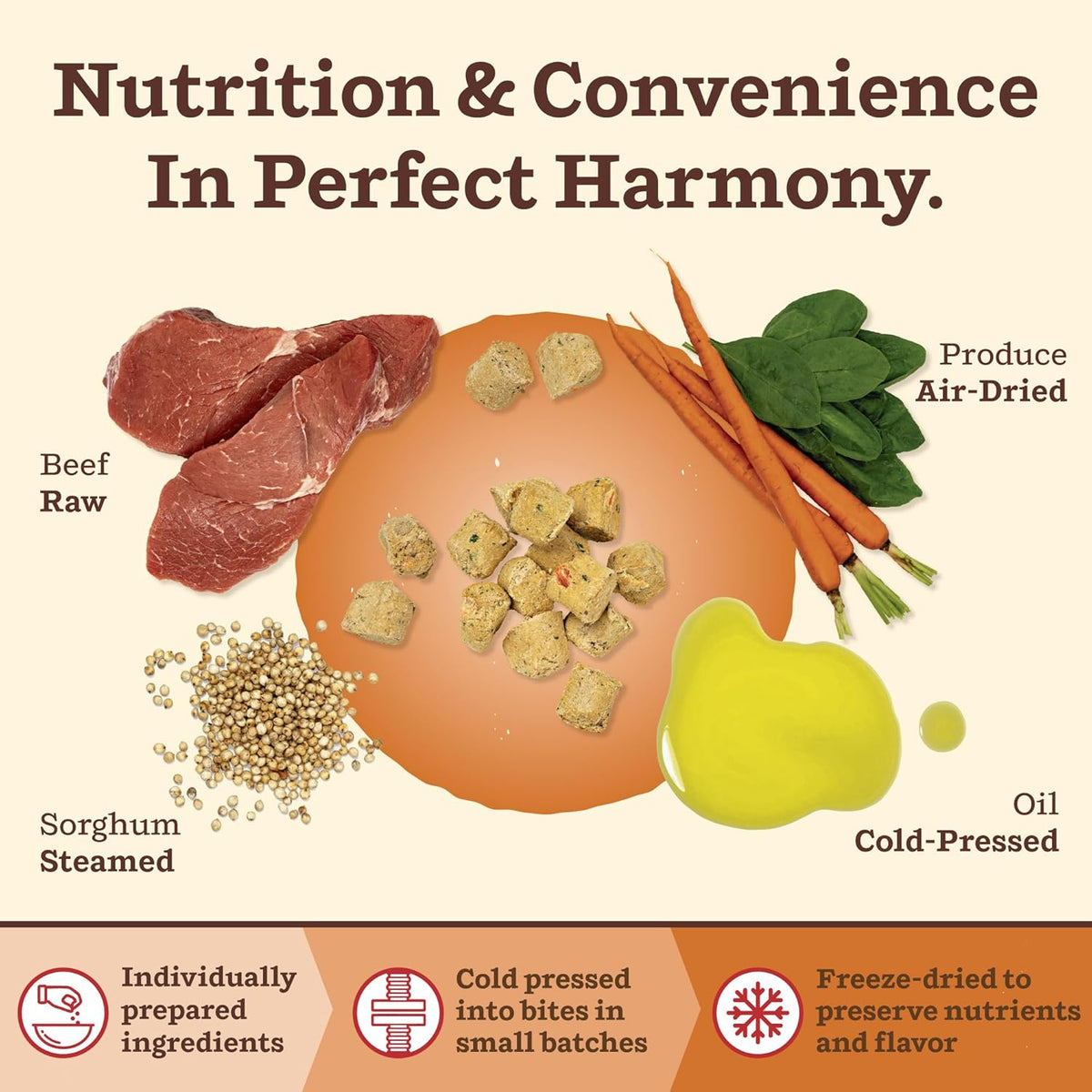 Primal Kibble in The Raw, Freeze Dried Dog Food, Beef, Scoop & Serve, Made with Raw Protein, Whole Ingredient Nutrition, Crafted in The USA, Dry Dog Food 1.5 lb Bag