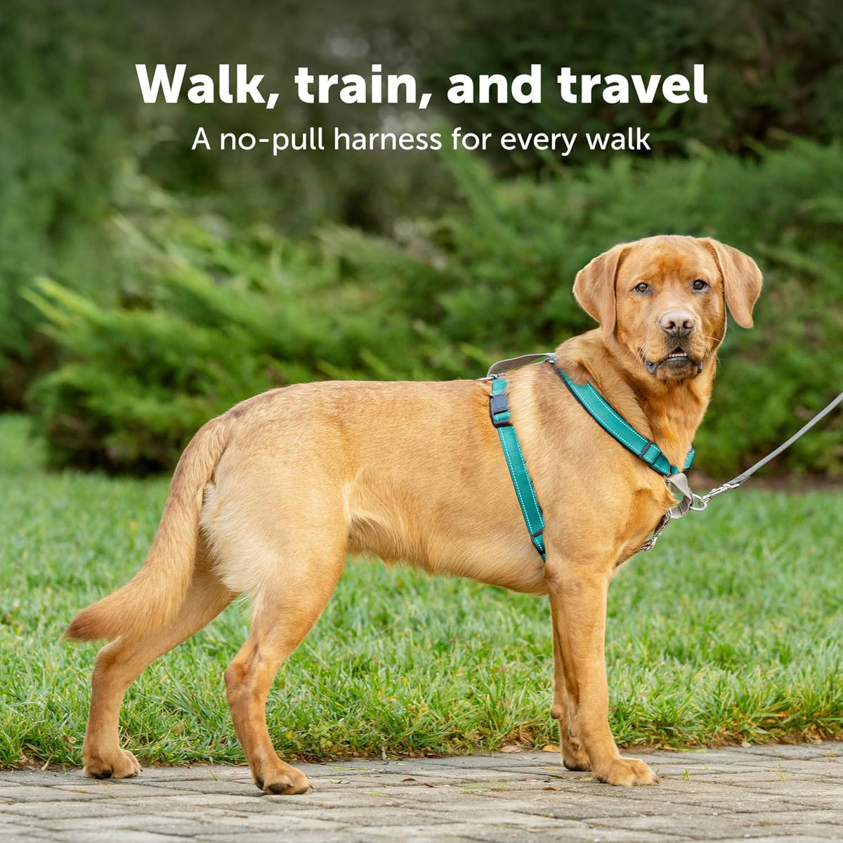 PetSafe 3 in 1 Dog Harness - No Pull Solution for Dogs - Reflective Dog Harness - Front D-Ring Clip Helps Stop Pulling - Comfortable Padded Straps - Top Handle Enhances Control - Black - Large