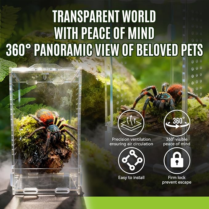 Jumping Spider Enclosure, Front-Opening Acrylic Spider Terrarium，Laser-Cut Biomimetic Ventilation System, Escape-Proof for Feeder Insects